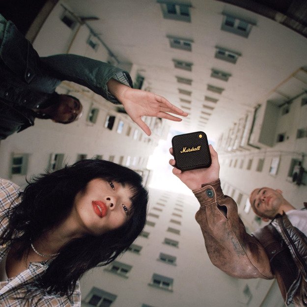 Marshall Willen Black & Brass 8