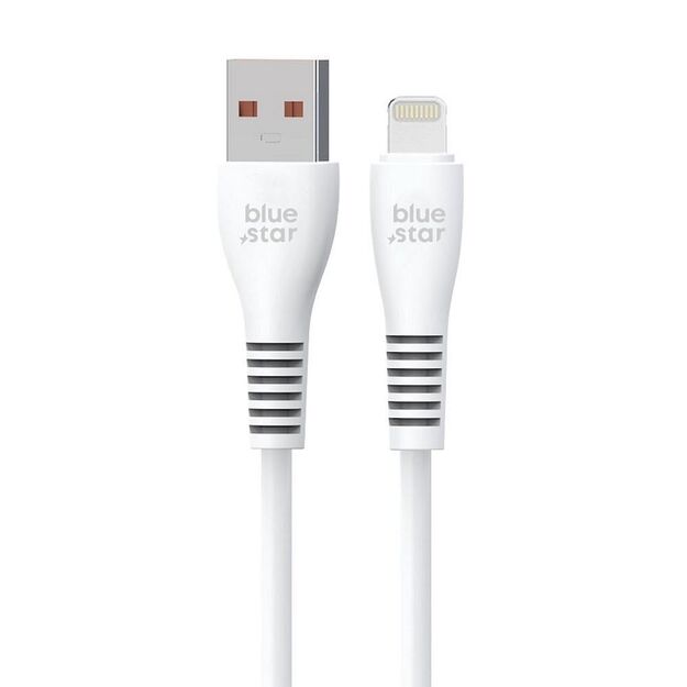 Cable USB A to Lightning Blue Star 2A 12W 1 m DC99I white 2