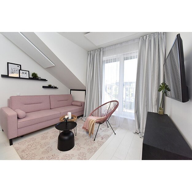 Standartinės natūralaus &scaron;ildymo plok&scaron;tės ECOSUN U 4