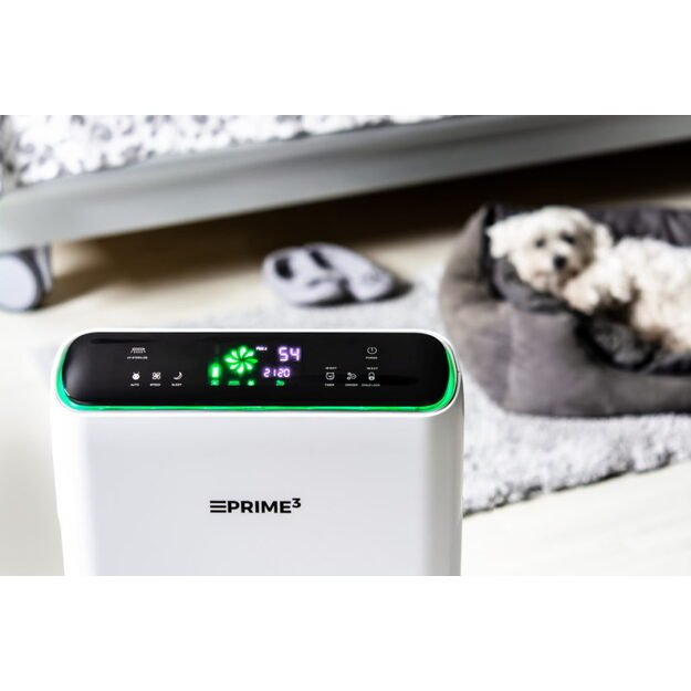 Prime3 SAP81 Oro valytuvas 6